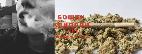 крисы Пересвет
