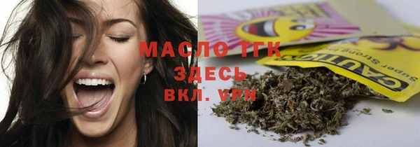 крисы Пересвет