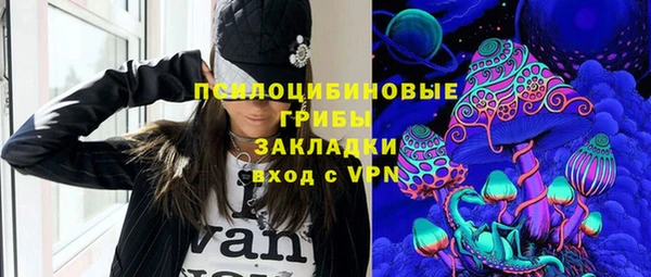 крисы Пересвет