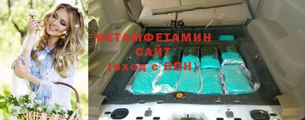 шишки Гвардейск